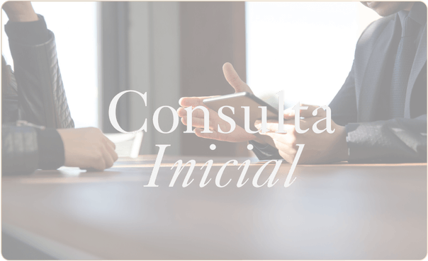 Consulta inicial